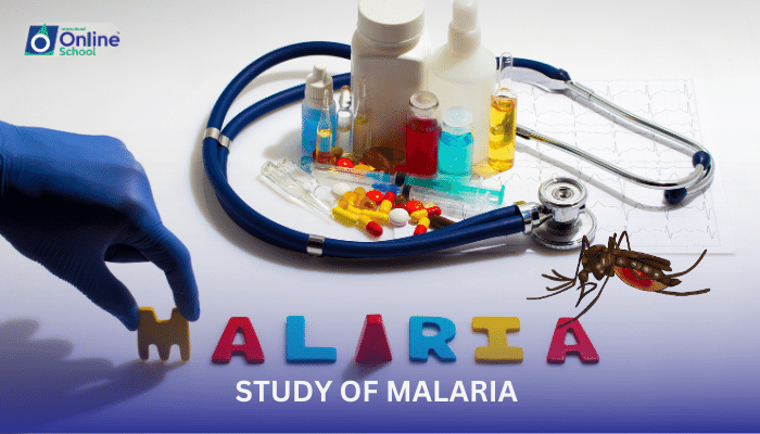 Lesson 03: Study of Malaria through the Biological Method